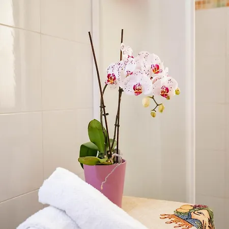 Magà House Giardini Naxos