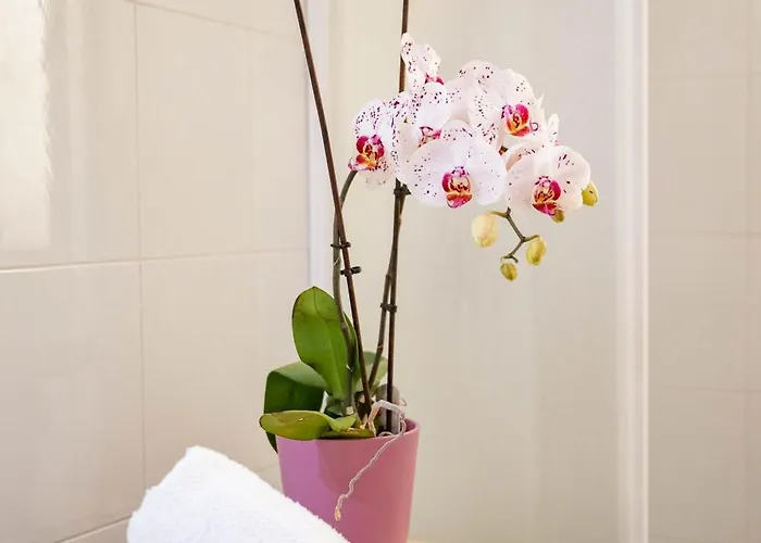 Maga House Giardini Naxos